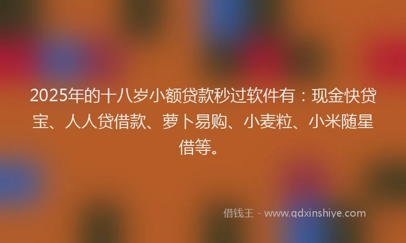 2025年的十八岁小额贷款秒过软件有：现金快贷宝、人人贷借款、萝卜易购、小麦粒、小米随星借等。