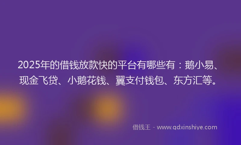 2025年的借钱放款快的平台有哪些有：鹅小易、现金飞贷、小鹅花钱、翼支付钱包、东方汇等。