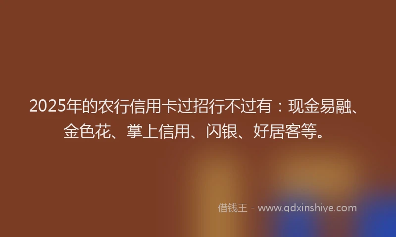 2025年的农行信用卡过招行不过有：现金易融、金色花、掌上信用、闪银、好居客等。