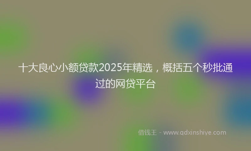 十大良心小额贷款2025年精选，概括五个秒批通过的网贷平台