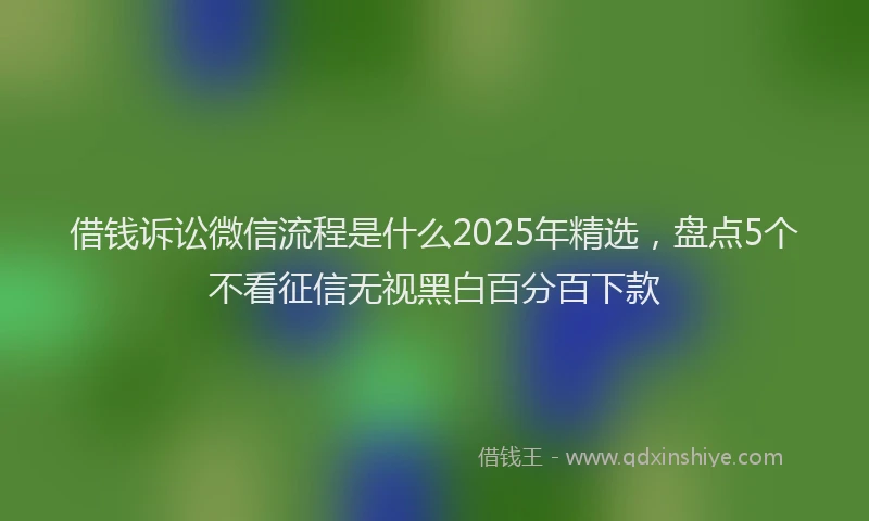 借钱诉讼微信流程是什么2025年精选，盘点5个不看征信无视黑白百分百下款