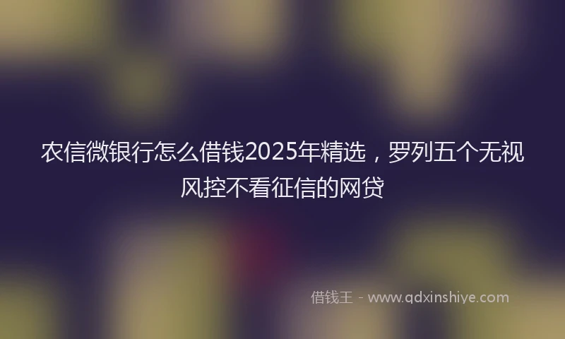 农信微银行怎么借钱2025年精选，罗列五个无视风控不看征信的网贷