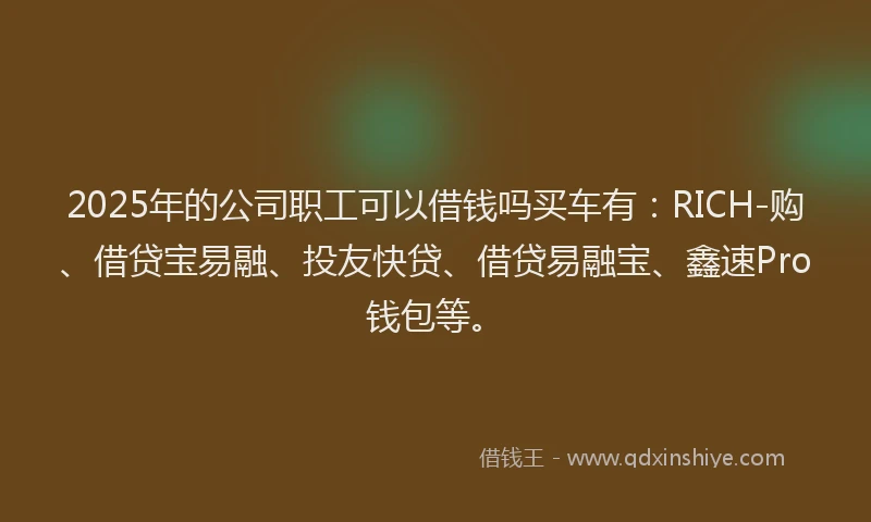 2025年的公司职工可以借钱吗买车有：RICH-购、借贷宝易融、投友快贷、借贷易融宝、鑫速Pro钱包等。