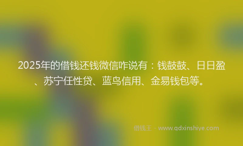 2025年的借钱还钱微信咋说有：钱鼓鼓、日日盈、苏宁任性贷、蓝鸟信用、金易钱包等。