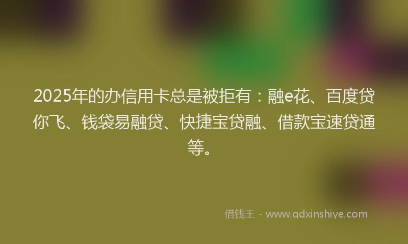 2025年的办信用卡总是被拒有：融e花、百度贷你飞、钱袋易融贷、快捷宝贷融、借款宝速贷通等。