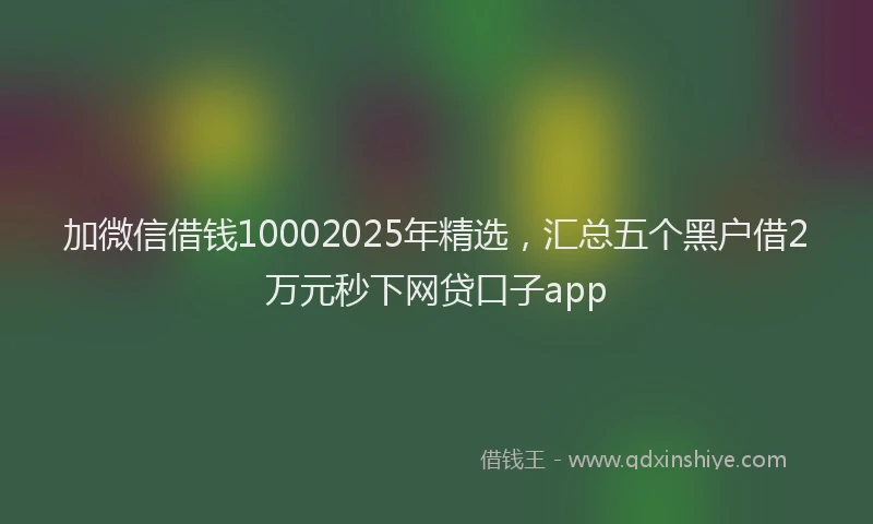 加微信借钱10002025年精选，汇总五个黑户借2万元秒下网贷口子app