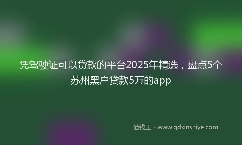 凭驾驶证可以贷款的平台2025年精选，盘点5个苏州黑户贷款5万的app