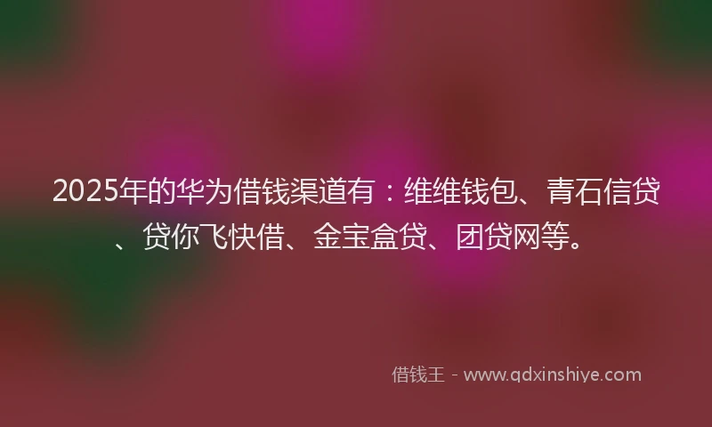 2025年的华为借钱渠道有：维维钱包、青石信贷、贷你飞快借、金宝盒贷、团贷网等。