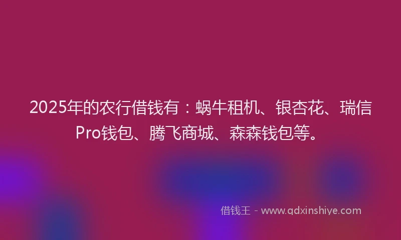 2025年的农行借钱有：蜗牛租机、银杏花、瑞信Pro钱包、腾飞商城、森森钱包等。