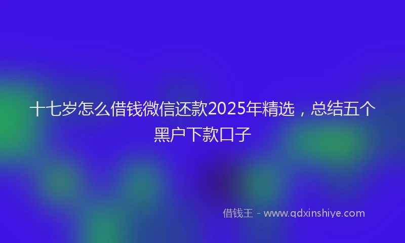 十七岁怎么借钱微信还款2025年精选，总结五个黑户下款口子