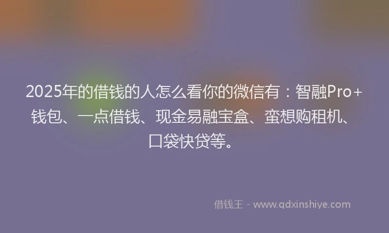 2025年的借钱的人怎么看你的微信有：智融Pro+钱包、一点借钱、现金易融宝盒、蛮想购租机、口袋快贷等。