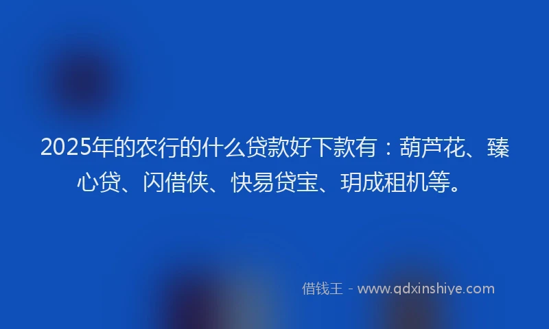 2025年的农行的什么贷款好下款有：葫芦花、臻心贷、闪借侠、快易贷宝、玥成租机等。