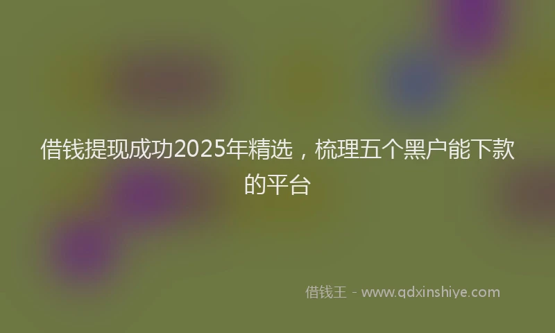 借钱提现成功2025年精选，梳理五个黑户能下款的平台