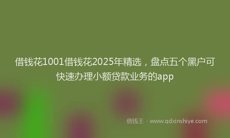 借钱花1001借钱花2025年精选，盘点五个黑户可快速办理小额贷款业务的app