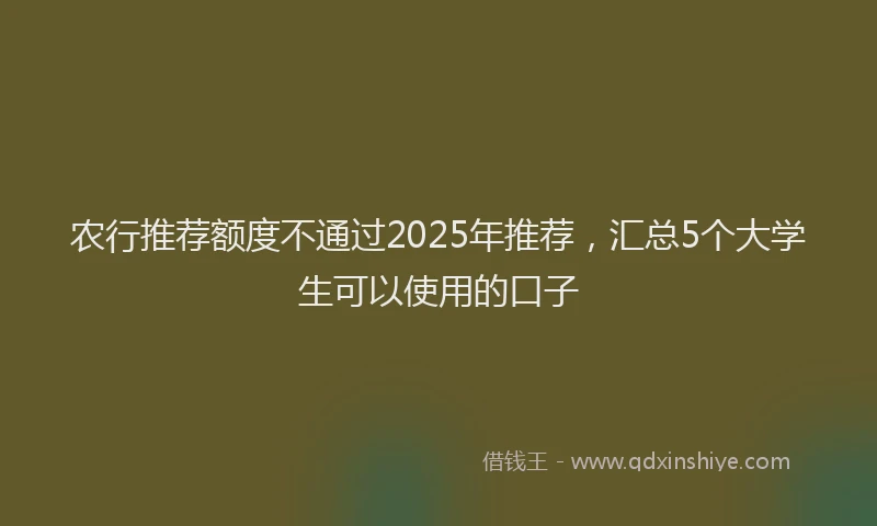 农行推荐额度不通过2025年推荐，汇总5个大学生可以使用的口子