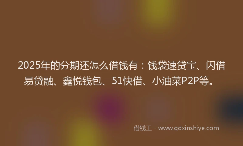 2025年的分期还怎么借钱有：钱袋速贷宝、闪借易贷融、鑫悦钱包、51快借、小油菜P2P等。