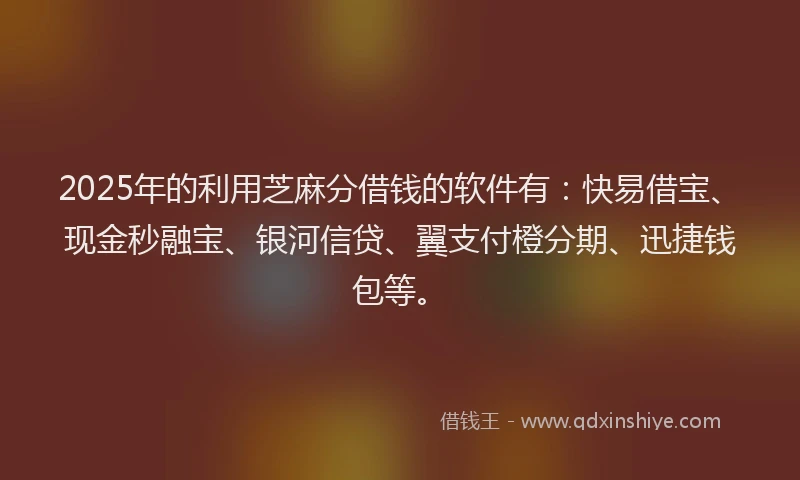 2025年的利用芝麻分借钱的软件有：快易借宝、现金秒融宝、银河信贷、翼支付橙分期、迅捷钱包等。
