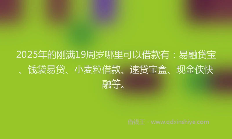 2025年的刚满19周岁哪里可以借款有：易融贷宝、钱袋易贷、小麦粒借款、速贷宝盒、现金侠快融等。