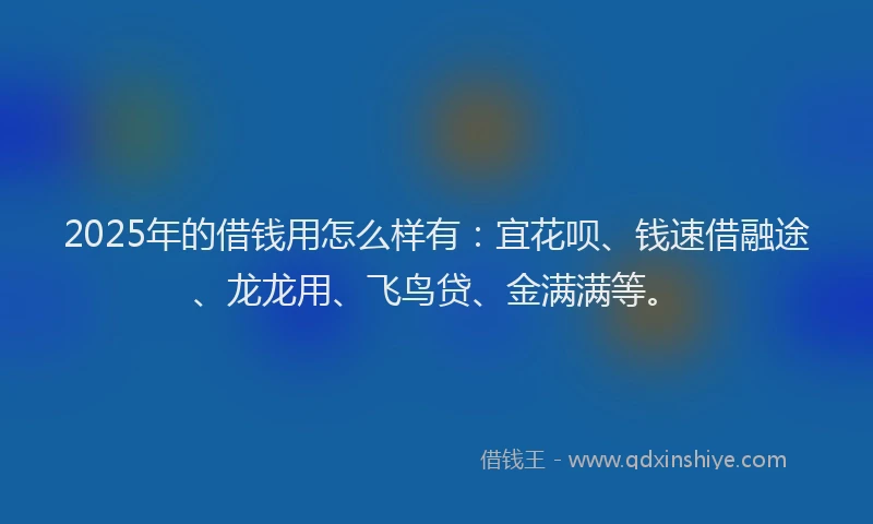 2025年的借钱用怎么样有：宜花呗、钱速借融途、龙龙用、飞鸟贷、金满满等。
