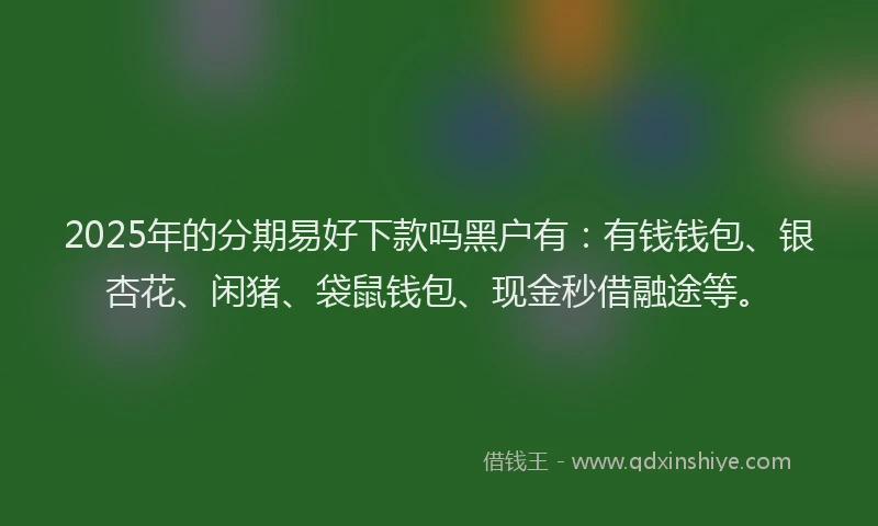2025年的分期易好下款吗黑户有：有钱钱包、银杏花、闲猪、袋鼠钱包、现金秒借融途等。