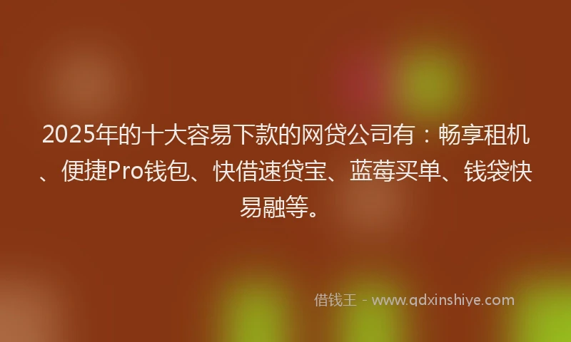2025年的十大容易下款的网贷公司有：畅享租机、便捷Pro钱包、快借速贷宝、蓝莓买单、钱袋快易融等。