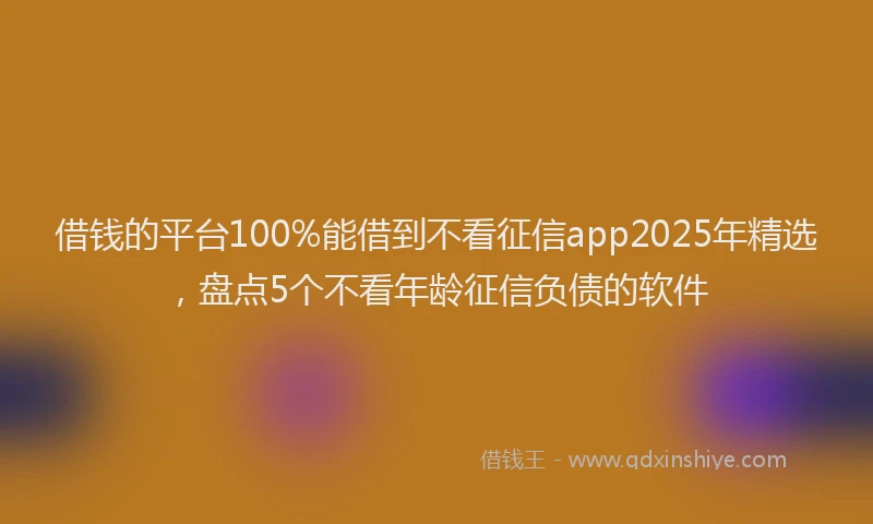 借钱的平台100%能借到不看征信app2025年精选，盘点5个不看年龄征信负债的软件