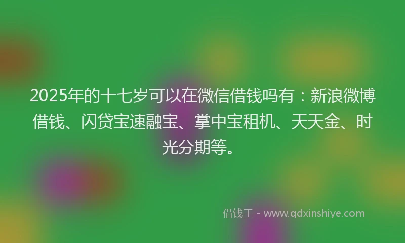 2025年的十七岁可以在微信借钱吗有：新浪微博借钱、闪贷宝速融宝、掌中宝租机、天天金、时光分期等。
