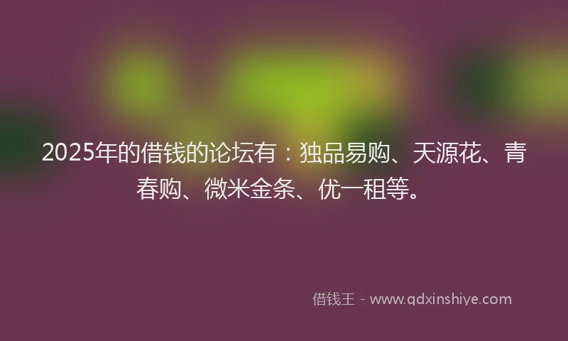 2025年的借钱的论坛有：独品易购、天源花、青春购、微米金条、优一租等。