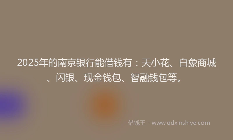 2025年的南京银行能借钱有：天小花、白象商城、闪银、现金钱包、智融钱包等。