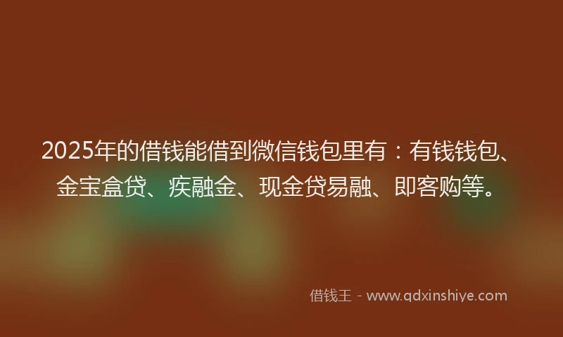 2025年的借钱能借到微信钱包里有：有钱钱包、金宝盒贷、疾融金、现金贷易融、即客购等。