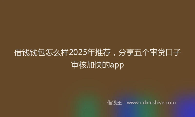 借钱钱包怎么样2025年推荐，分享五个审贷口子审核加快的app