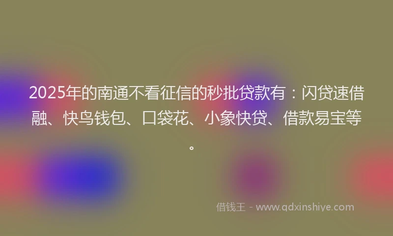 2025年的南通不看征信的秒批贷款有：闪贷速借融、快鸟钱包、口袋花、小象快贷、借款易宝等。