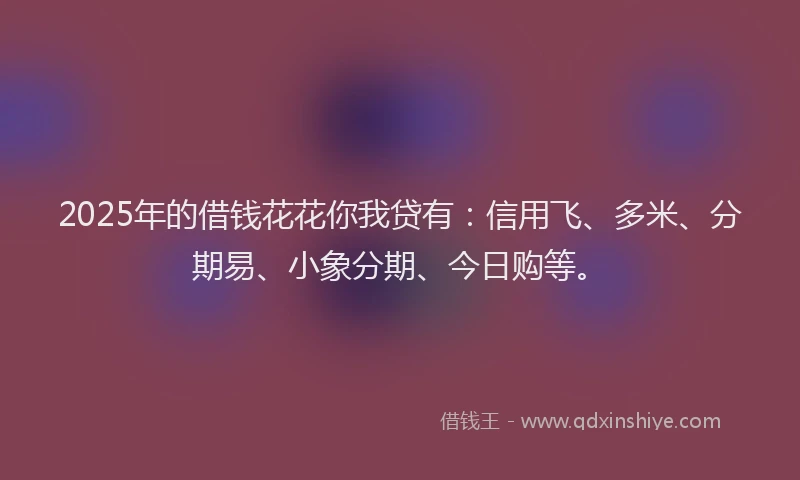 2025年的借钱花花你我贷有：信用飞、多米、分期易、小象分期、今日购等。