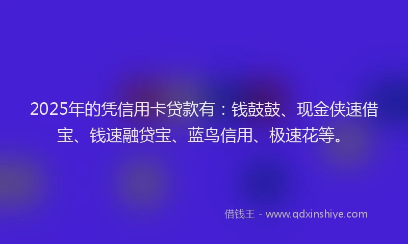 2025年的凭信用卡贷款有：钱鼓鼓、现金侠速借宝、钱速融贷宝、蓝鸟信用、极速花等。