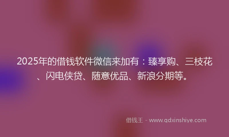 2025年的借钱软件微信来加有：臻享购、三枝花、闪电侠贷、随意优品、新浪分期等。