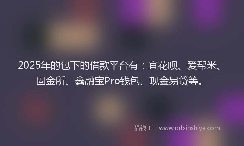 2025年的包下的借款平台有：宜花呗、爱帮米、固金所、鑫融宝Pro钱包、现金易贷等。