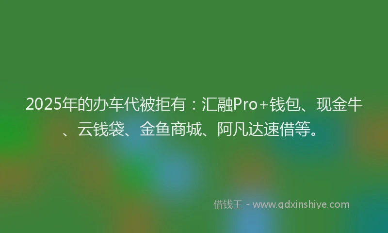 2025年的办车代被拒有：汇融Pro+钱包、现金牛、云钱袋、金鱼商城、阿凡达速借等。