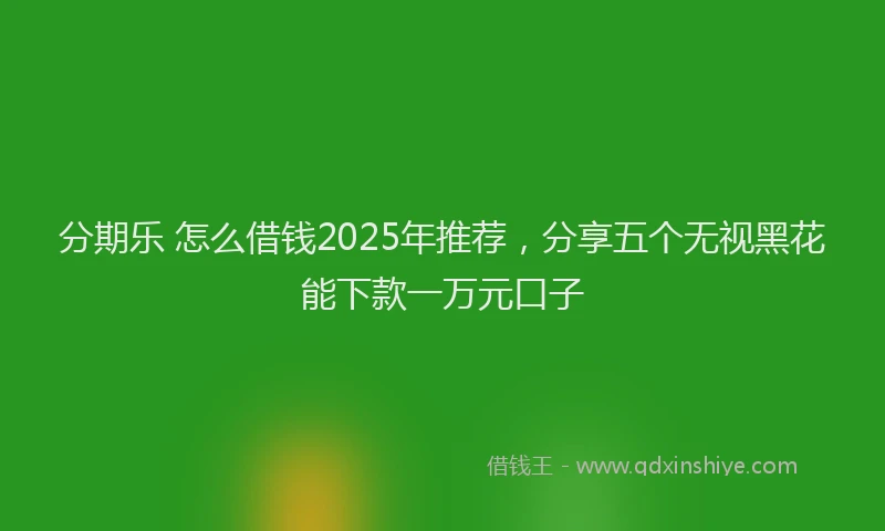 分期乐 怎么借钱2025年推荐，分享五个无视黑花能下款一万元口子
