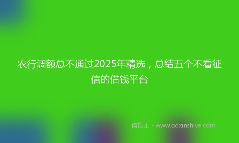 农行调额总不通过2025年精选，总结五个不看征信的借钱平台