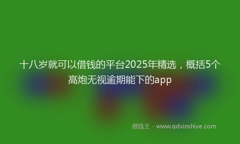 十八岁就可以借钱的平台2025年精选，概括5个高炮无视逾期能下的app