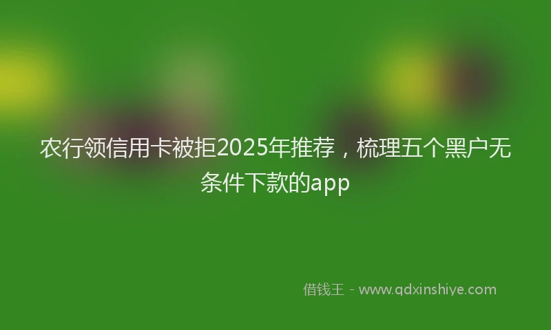 农行领信用卡被拒2025年推荐，梳理五个黑户无条件下款的app