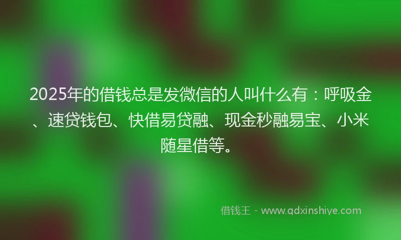 2025年的借钱总是发微信的人叫什么有：呼吸金、速贷钱包、快借易贷融、现金秒融易宝、小米随星借等。