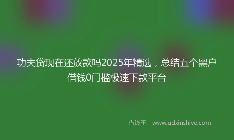 功夫贷现在还放款吗2025年精选，总结五个黑户借钱0门槛极速下款平台