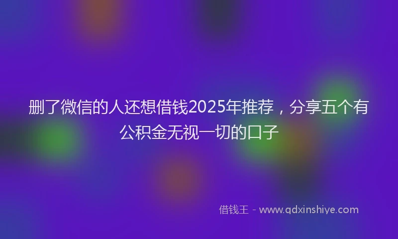 删了微信的人还想借钱2025年推荐，分享五个有公积金无视一切的口子