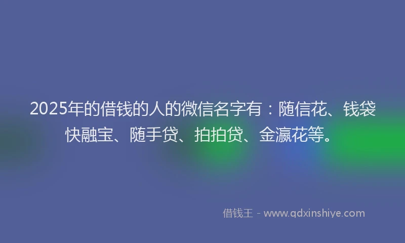 2025年的借钱的人的微信名字有：随信花、钱袋快融宝、随手贷、拍拍贷、金瀛花等。