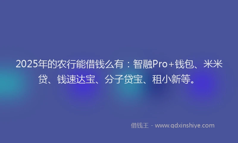 2025年的农行能借钱么有：智融Pro+钱包、米米贷、钱速达宝、分子贷宝、租小新等。