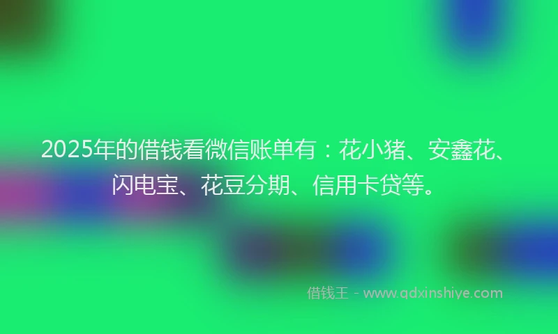 2025年的借钱看微信账单有：花小猪、安鑫花、闪电宝、花豆分期、信用卡贷等。