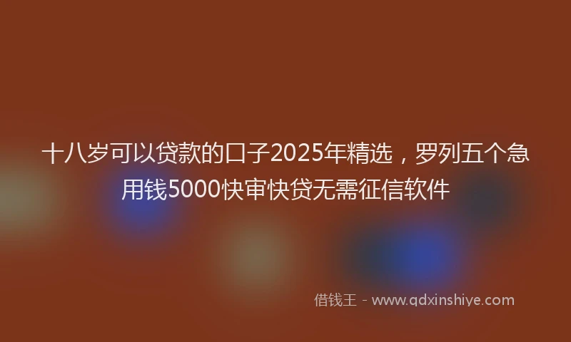 十八岁可以贷款的口子2025年精选，罗列五个急用钱5000快审快贷无需征信软件