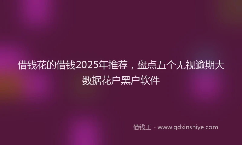 借钱花的借钱2025年推荐，盘点五个无视逾期大数据花户黑户软件