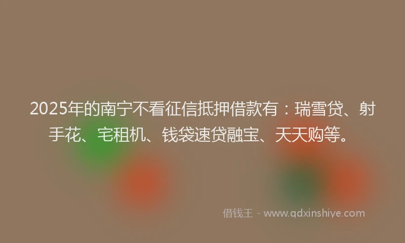 2025年的南宁不看征信抵押借款有：瑞雪贷、射手花、宅租机、钱袋速贷融宝、天天购等。